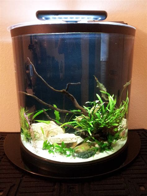 aquariumforum|aquarium advice forum.